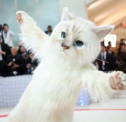 Los looks de la música en la MET Gala 2023