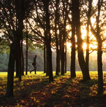 Julian Casablancas estrena video