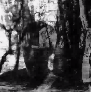 Los Mundos marcados por el 