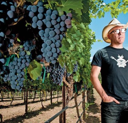 TOP: Negocios alternos de los músicos