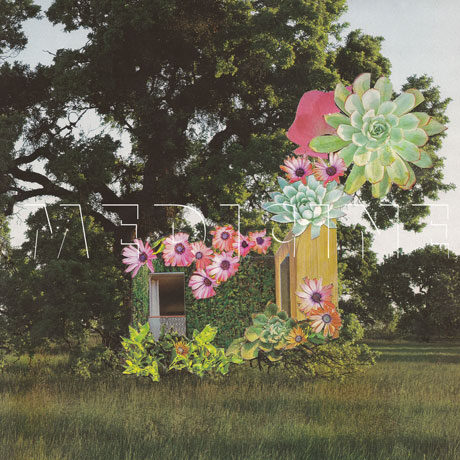 Nueva canción de Medicine