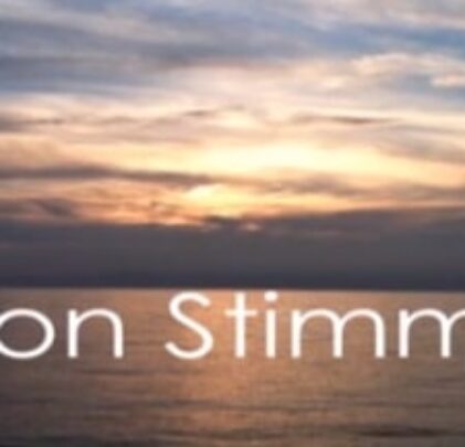 Escucha el nuevo sencillo de No Age