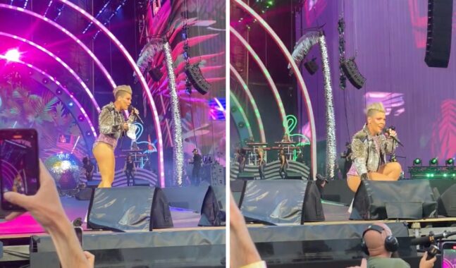 Pink recibe las cenizas de la madre de una fan