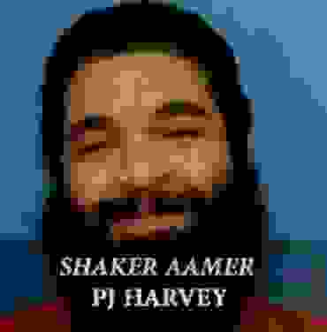 Controversial sencillo de PJ Harvey