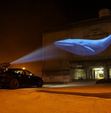 Racing Extinction #LosCabos4