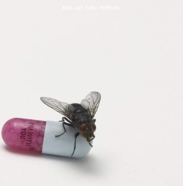 A 10 años del 'I'm With You' de Red Hot Chili Peppers