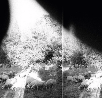 Godspeed You! Black Emperor y disco
