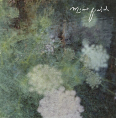 Mint Field — Sentimiento Mundial