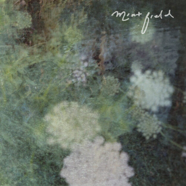 Mint Field — Sentimiento Mundial
