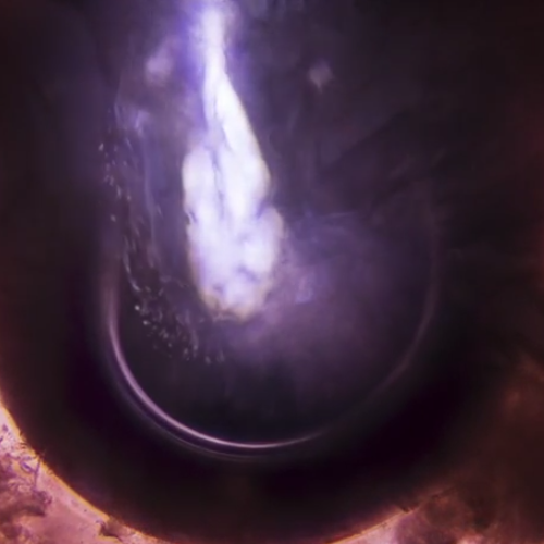 The Antlers presenta video para 