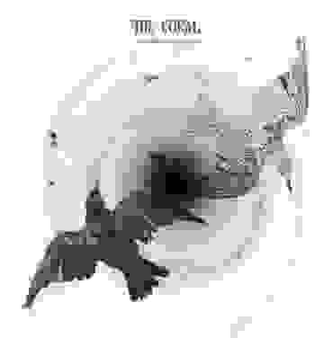 The Coral – Distance Inbetween