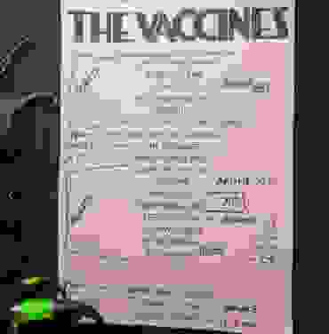 The Vaccines en Escenario GNP Seguros