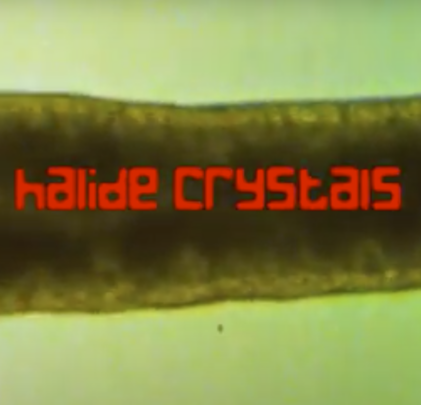 Trees Speak estrena “Halide Crystals” 