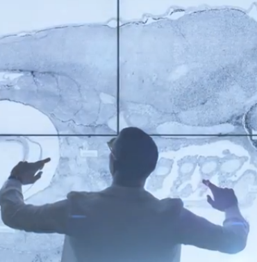 Yeasayer presenta video para 